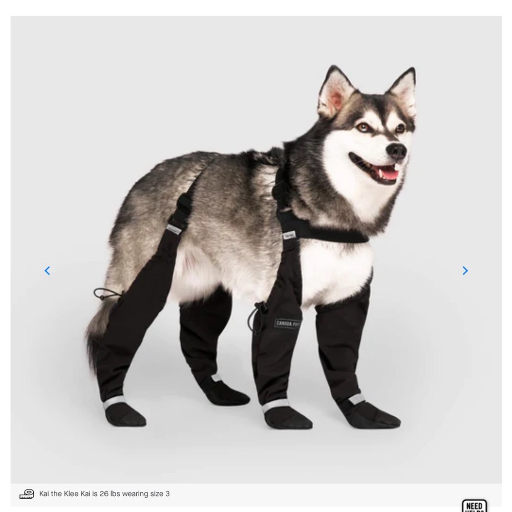 Suspender Dog Boots - Size 5, Canada Pooch